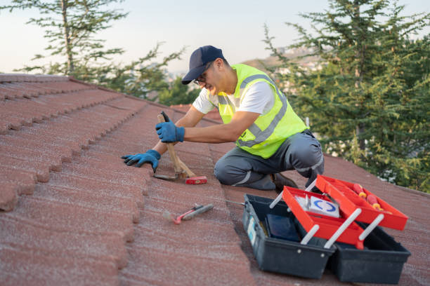 Best Gutter Installation and Roofing  in West Mountain, UT